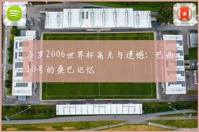 小罗2006世界杯高光与遗憾:巴西10号的桑巴记忆