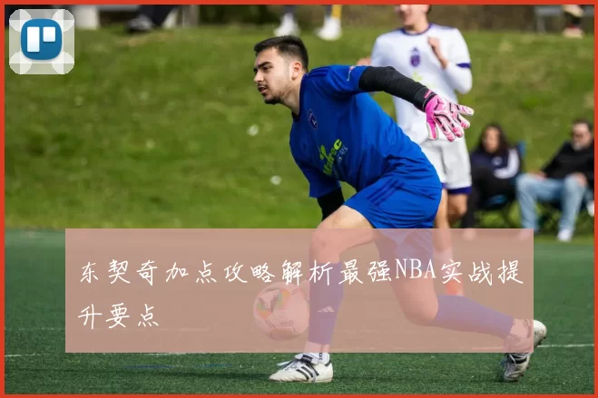 东契奇加点攻略解析最强NBA实战提升要点